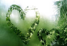 开云体育登录-墨西哥队在主场一路领先，实力雄厚的简单介绍