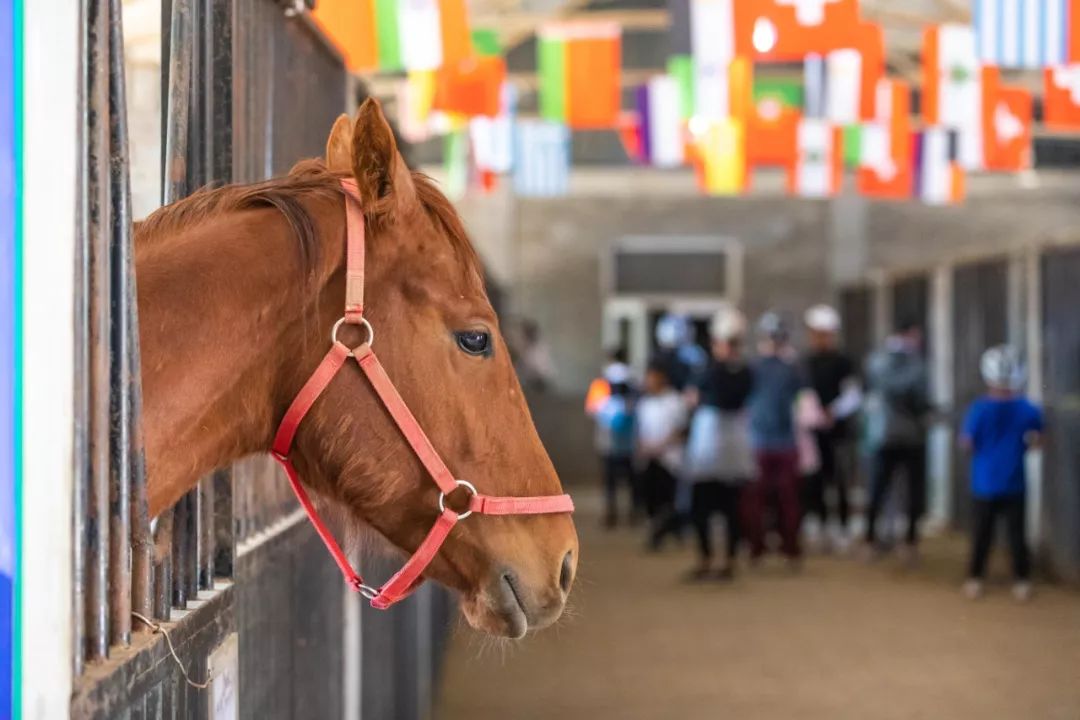 默契传接眼神交流汇成巧合之进球