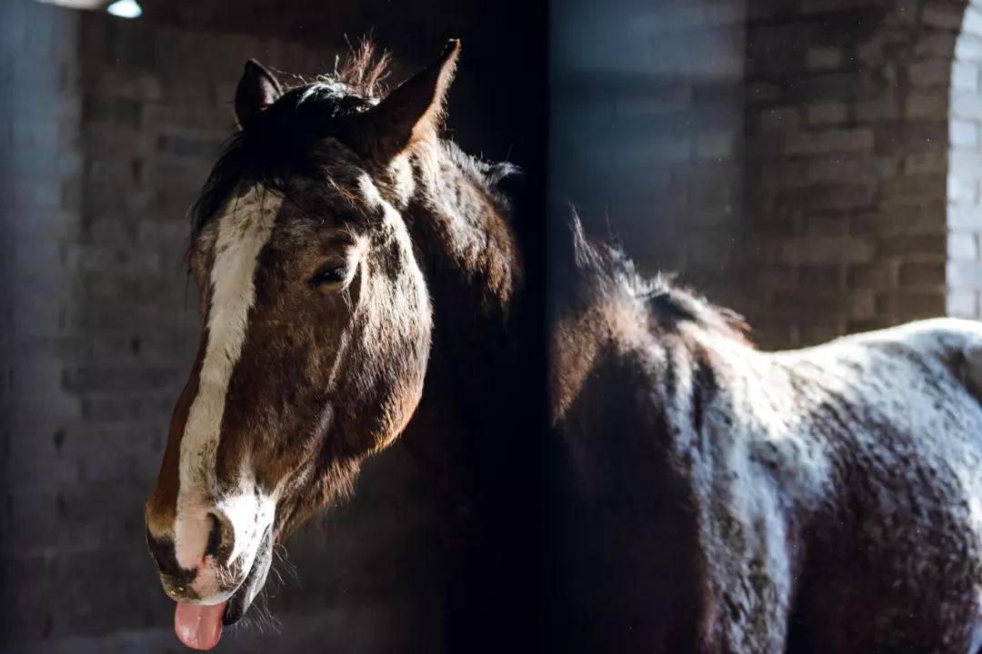 默契传接眼神交流汇成巧合之进球