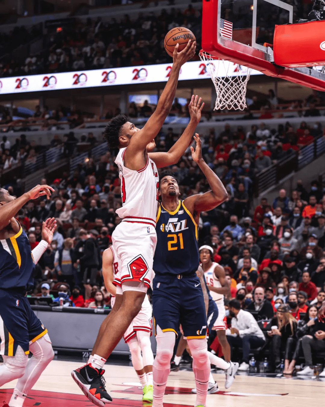 公牛擒老鹰，终结两连败